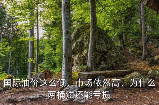 國際油價這么低，市場依然高，為什么兩桶油還能虧損