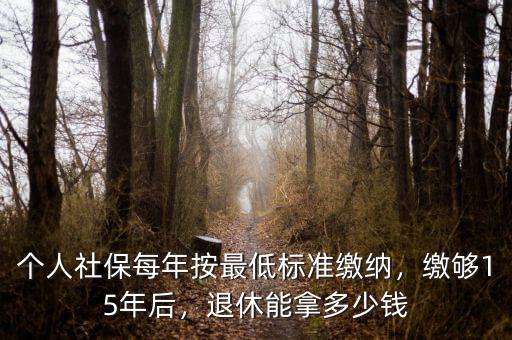 個人社保每年按最低標準繳納，繳夠15年后，退休能拿多少錢