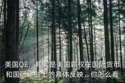 美國(guó)QE，其實(shí)是美國(guó)霸權(quán)在國(guó)際貨幣和國(guó)際金融上的具體反映，你怎么看