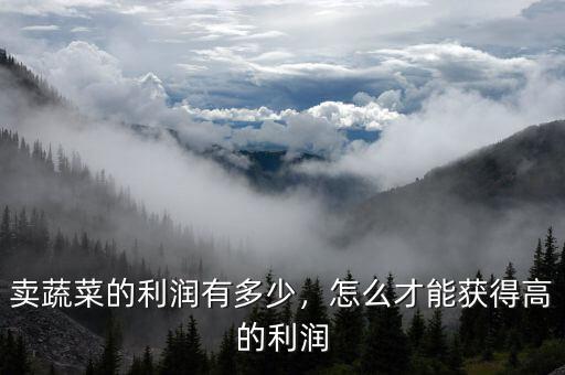 賣(mài)蔬菜的利潤(rùn)有多少，怎么才能獲得高的利潤(rùn)