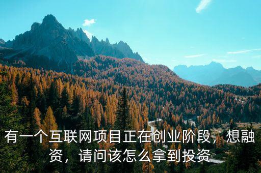 有一個(gè)互聯(lián)網(wǎng)項(xiàng)目正在創(chuàng)業(yè)階段，想融資，請(qǐng)問該怎么拿到投資