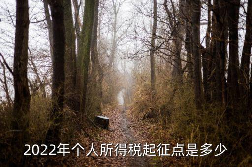 2022年個人所得稅起征點(diǎn)是多少