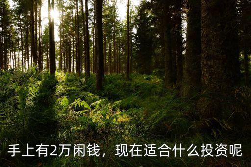 手上有2萬閑錢，現(xiàn)在適合什么投資呢