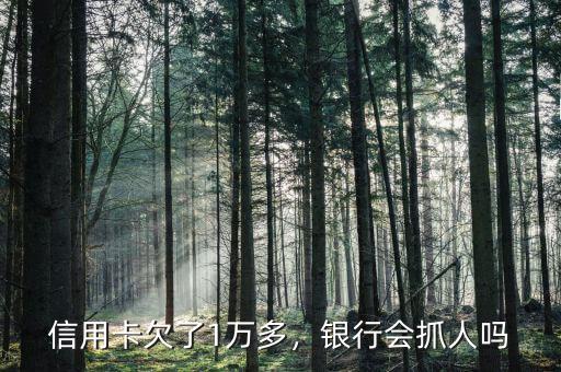 信用卡欠了1萬多，銀行會抓人嗎