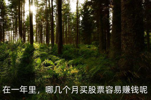 在一年里，哪幾個(gè)月買股票容易賺錢(qián)呢