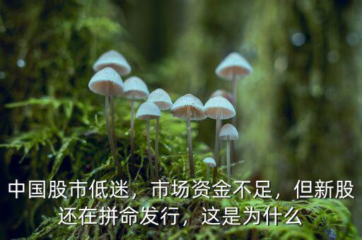 中國股市低迷，市場資金不足，但新股還在拼命發(fā)行，這是為什么