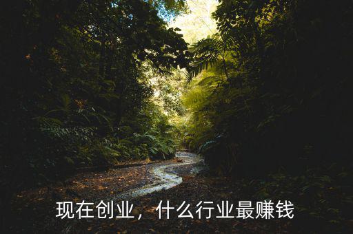 現(xiàn)在創(chuàng)業(yè)，什么行業(yè)最賺錢