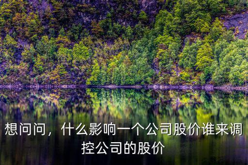 想問(wèn)問(wèn)，什么影響一個(gè)公司股價(jià)誰(shuí)來(lái)調(diào)控公司的股價(jià)