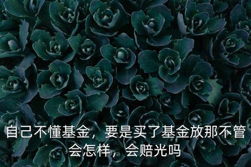 自己不懂基金，要是買了基金放那不管會怎樣，會賠光嗎