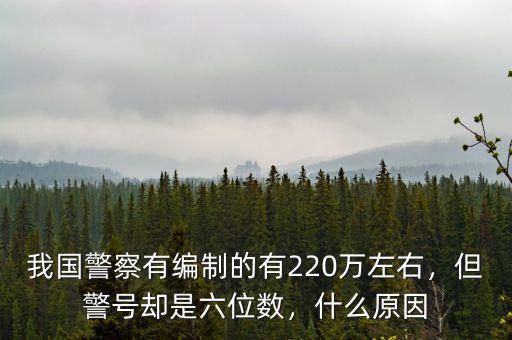 我國(guó)警察有編制的有220萬(wàn)左右，但警號(hào)卻是六位數(shù)，什么原因