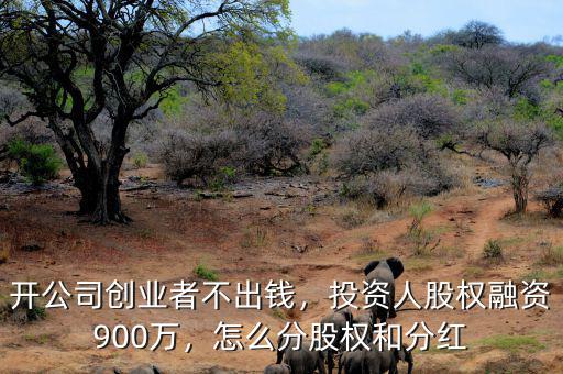 開公司創(chuàng)業(yè)者不出錢，投資人股權融資900萬，怎么分股權和分紅