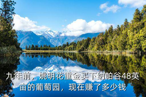 九年前，姚明花重金買下納帕谷48英畝的葡萄園，現(xiàn)在賺了多少錢