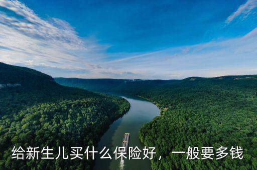 給新生兒買(mǎi)什么保險(xiǎn)好，一般要多錢(qián)