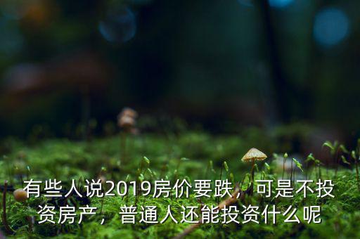 有些人說2019房價要跌，可是不投資房產(chǎn)，普通人還能投資什么呢