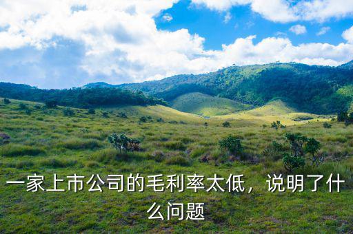 一家上市公司的毛利率太低，說明了什么問題