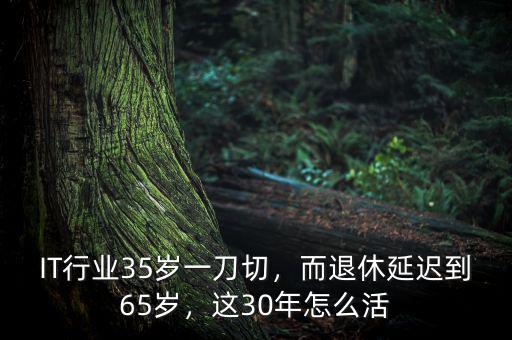 IT行業(yè)35歲一刀切，而退休延遲到65歲，這30年怎么活