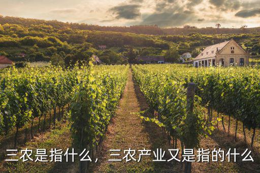 三農(nóng)是指什么，三農(nóng)產(chǎn)業(yè)又是指的什么