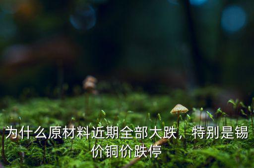 為什么原材料近期全部大跌，特別是錫價(jià)銅價(jià)跌停