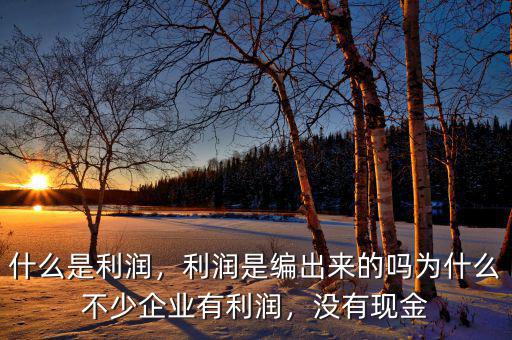 什么是利潤，利潤是編出來的嗎為什么不少企業(yè)有利潤，沒有現(xiàn)金