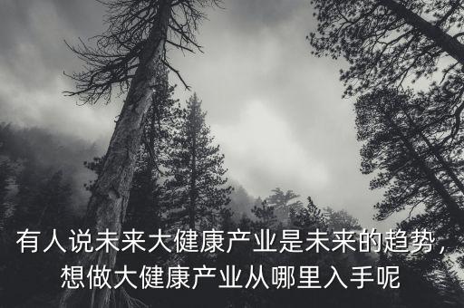 有人說未來大健康產(chǎn)業(yè)是未來的趨勢，想做大健康產(chǎn)業(yè)從哪里入手呢