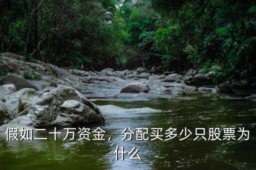 假如二十萬(wàn)資金，分配買(mǎi)多少只股票為什么