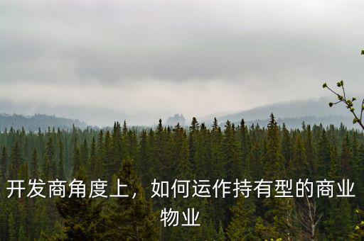 開發(fā)商角度上，如何運作持有型的商業(yè)物業(yè)