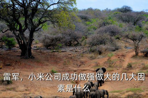 雷軍，小米公司成功做強做大的幾大因素是什么
