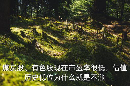煤炭股、有色股現(xiàn)在市盈率很低，估值歷史低位為什么就是不漲