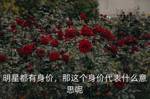 明星都有身價，那這個身價代表什么意思呢