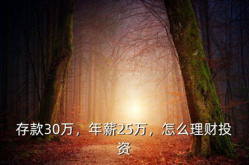 存款30萬，年薪25萬，怎么理財(cái)投資