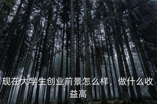 現(xiàn)在大學生創(chuàng)業(yè)前景怎么樣，做什么收益高