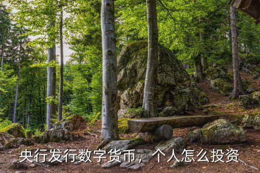 央行發(fā)行數(shù)字貨幣，個人怎么投資