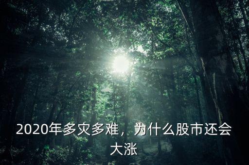 2020年多災多難，為什么股市還會大漲