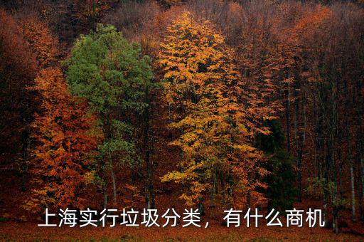 上海實行垃圾分類，有什么商機