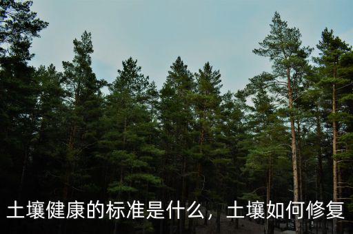 土壤健康的標(biāo)準(zhǔn)是什么，土壤如何修復(fù)