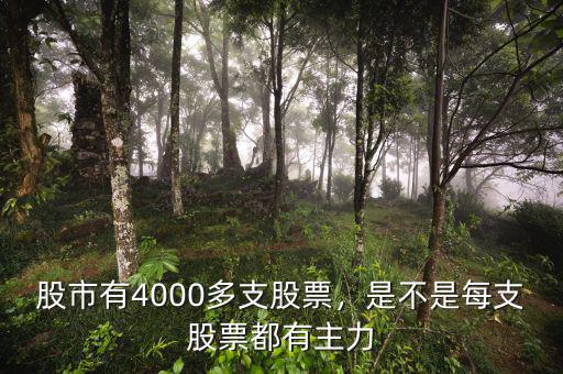 股市有4000多支股票，是不是每支股票都有主力
