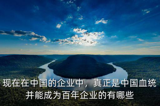 現(xiàn)在在中國的企業(yè)中，真正是中國血統(tǒng)并能成為百年企業(yè)的有哪些