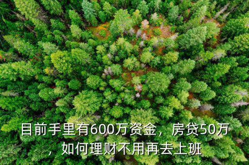 目前手里有600萬資金，房貸50萬，如何理財(cái)不用再去上班