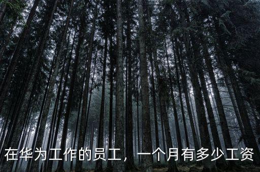 在華為工作的員工，一個月有多少工資
