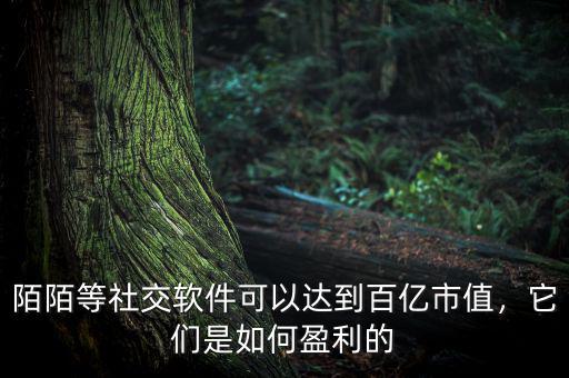 陌陌等社交軟件可以達(dá)到百億市值，它們是如何盈利的