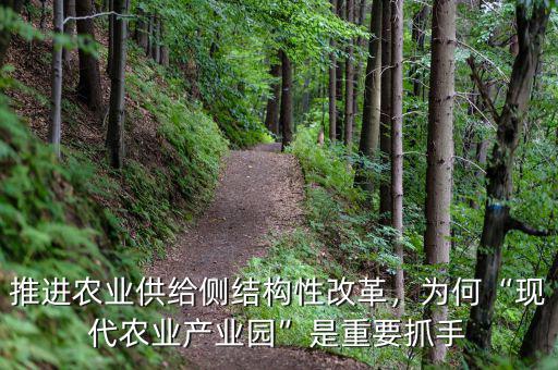 推進農(nóng)業(yè)供給側(cè)結(jié)構(gòu)性改革，為何“現(xiàn)代農(nóng)業(yè)產(chǎn)業(yè)園”是重要抓手
