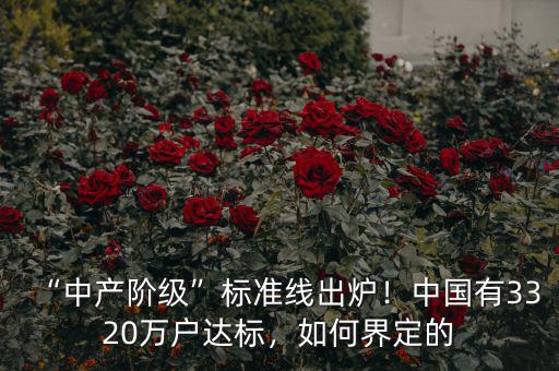 “中產(chǎn)階級”標(biāo)準(zhǔn)線出爐！中國有3320萬戶達(dá)標(biāo)，如何界定的