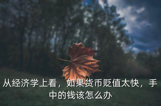 從經(jīng)濟(jì)學(xué)上看，如果貨幣貶值太快，手中的錢該怎么辦