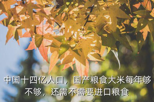 中國十四億人口，國產糧食大米每年夠不夠，還需不需要進口糧食
