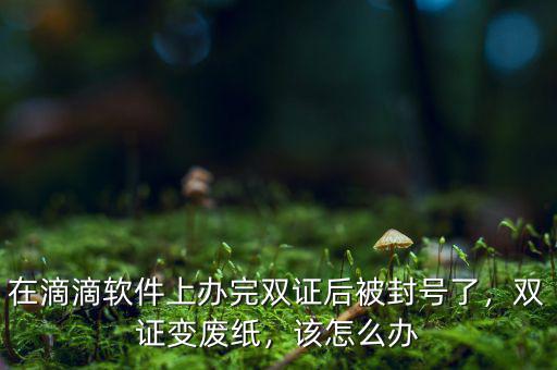 在滴滴軟件上辦完雙證后被封號(hào)了，雙證變廢紙，該怎么辦