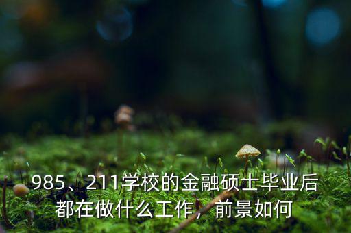 985、211學(xué)校的金融碩士畢業(yè)后都在做什么工作，前景如何