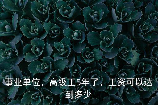 事業(yè)單位，高級(jí)工5年了，工資可以達(dá)到多少