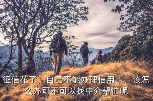 征信花了，自己不能辦理信用卡，該怎么辦可不可以找中介幫忙呢