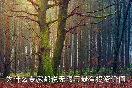 為什么專(zhuān)家都說(shuō)無(wú)限幣最有投資價(jià)值