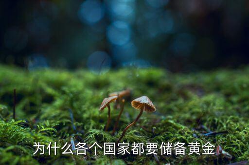 為什么各個(gè)國家都要儲(chǔ)備黃金